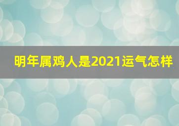 明年属鸡人是2021运气怎样