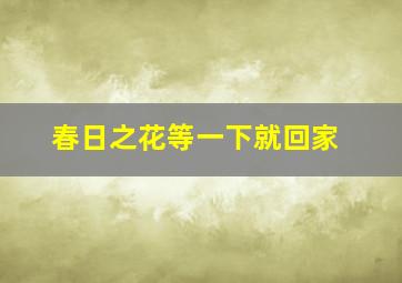 春日之花等一下就回家