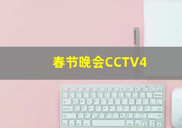 春节晚会CCTV4