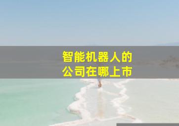 智能机器人的公司在哪上市