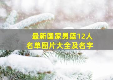 最新国家男篮12人名单图片大全及名字