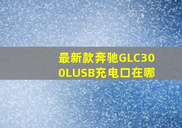 最新款奔驰GLC300LUSB充电口在哪