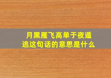 月黑雁飞高单于夜遁逃这句话的意思是什么