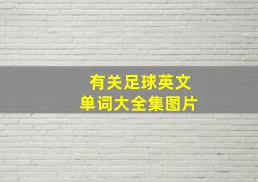 有关足球英文单词大全集图片