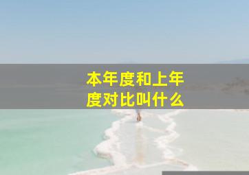 本年度和上年度对比叫什么