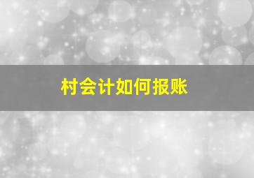 村会计如何报账