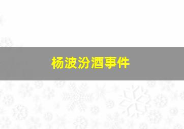 杨波汾酒事件