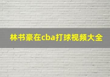 林书豪在cba打球视频大全