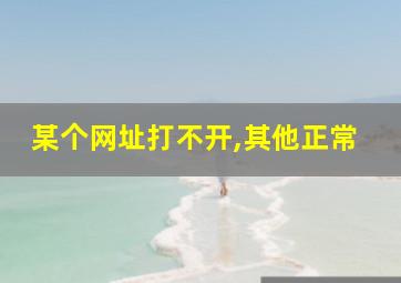 某个网址打不开,其他正常