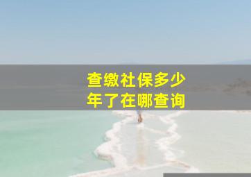 查缴社保多少年了在哪查询