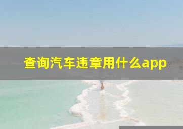 查询汽车违章用什么app