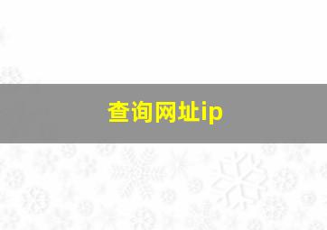 查询网址ip