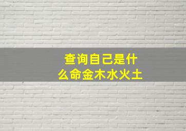 查询自己是什么命金木水火土