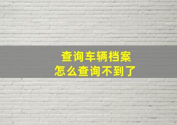 查询车辆档案怎么查询不到了