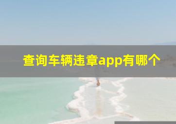 查询车辆违章app有哪个