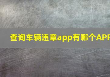 查询车辆违章app有哪个APP