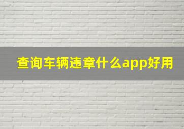 查询车辆违章什么app好用