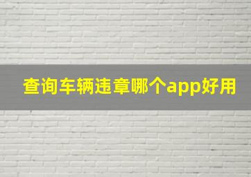 查询车辆违章哪个app好用