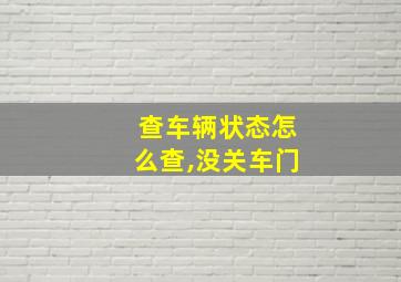 查车辆状态怎么查,没关车门