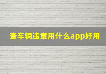 查车辆违章用什么app好用