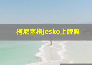 柯尼塞格jesko上牌照