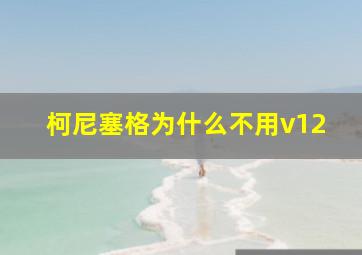 柯尼塞格为什么不用v12