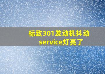 标致301发动机抖动service灯亮了