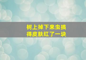 树上掉下来虫搞得皮肤红了一块