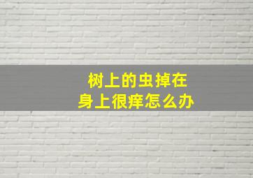 树上的虫掉在身上很痒怎么办