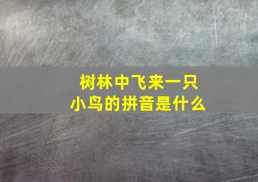 树林中飞来一只小鸟的拼音是什么