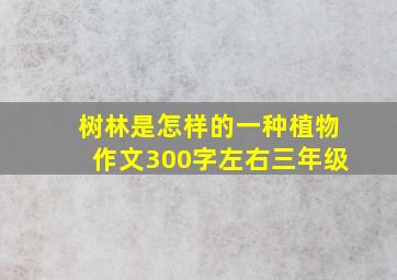 树林是怎样的一种植物作文300字左右三年级