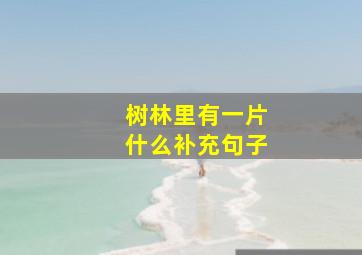 树林里有一片什么补充句子