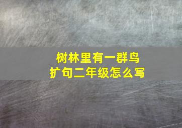 树林里有一群鸟扩句二年级怎么写