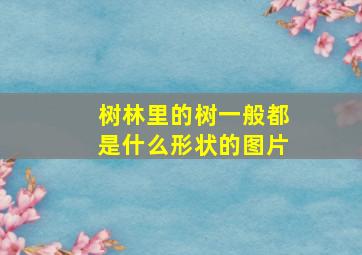 树林里的树一般都是什么形状的图片