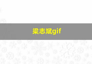 梁志斌gif