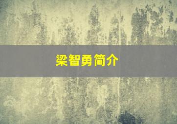 梁智勇简介