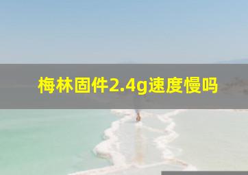 梅林固件2.4g速度慢吗