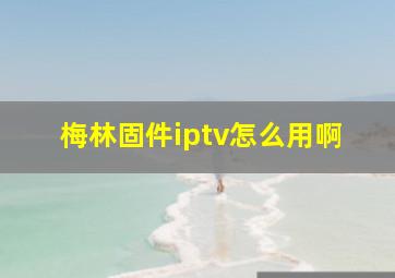 梅林固件iptv怎么用啊