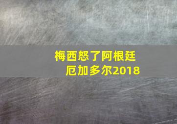 梅西怒了阿根廷厄加多尔2018