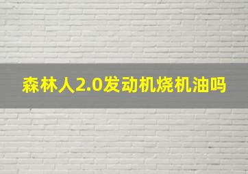 森林人2.0发动机烧机油吗