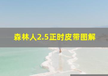 森林人2.5正时皮带图解