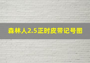 森林人2.5正时皮带记号图