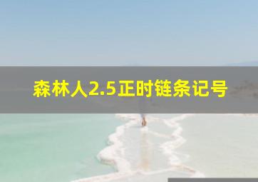 森林人2.5正时链条记号