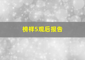 榜样5观后报告