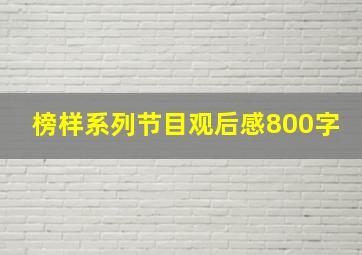 榜样系列节目观后感800字