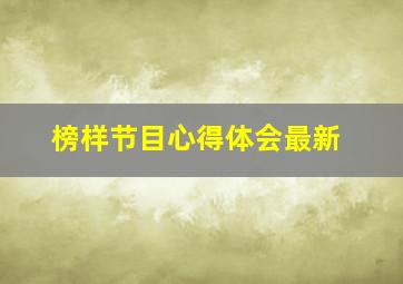 榜样节目心得体会最新