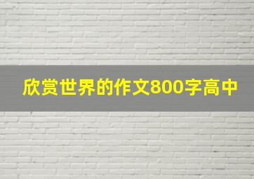 欣赏世界的作文800字高中