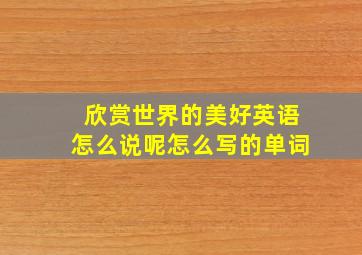 欣赏世界的美好英语怎么说呢怎么写的单词