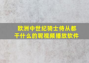 欧洲中世纪骑士侍从都干什么的呢视频播放软件