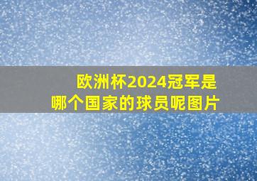 欧洲杯2024冠军是哪个国家的球员呢图片